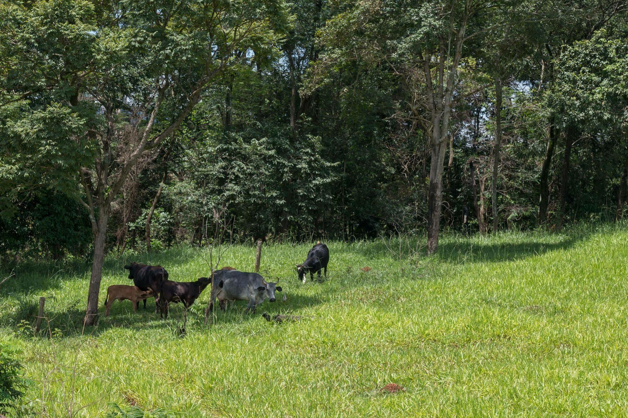 Estancia Das Angolas - Inhotim Brumadinho Eksteriør billede